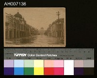 藏品(臺北新公園及博物館明信片)的圖片